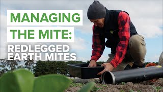 Redlegged earth mite (RLEM) management