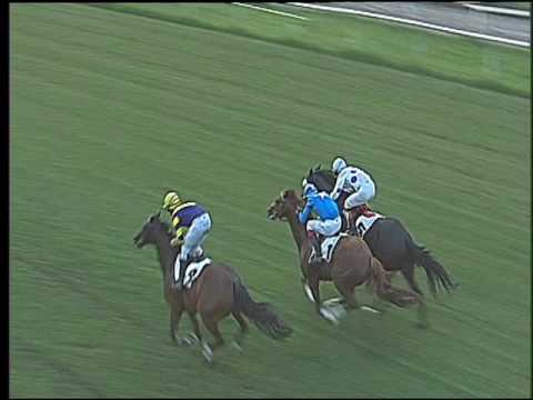 Galoppo 23/07/2016 - 4° corsa