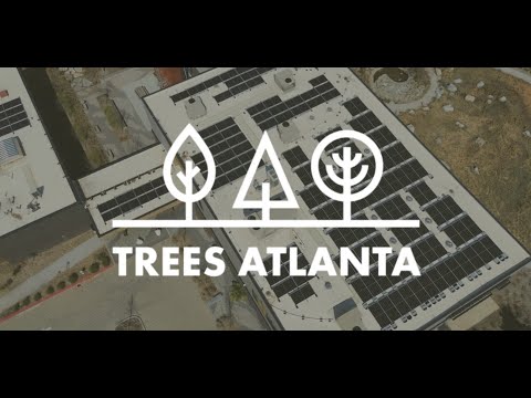 Non-Profit Solar Installation for Trees Atlanta!