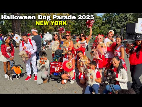 All the Looks From the 35th Annual Tompkins Halloween Dog Parade