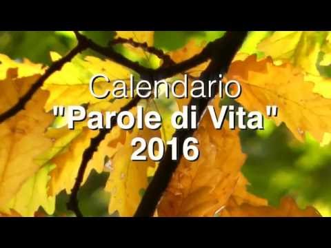 Meditazione del 12 Ottobre 2016 "Seminare per Raccogliere"