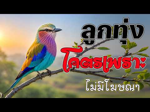 ลูกทุ่งรวมเพลงเพราะมาก : รวมเพลง ลูกทุ่งฮิตที่สุด ฟังต่อเนื่อง #เพลงลูกทุ่งมาแรง ไม่มีโฆษณา