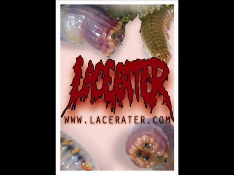 Lacerater - (L'odore del) Sangue