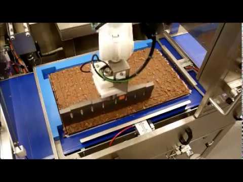 newtech - roboSONIC I in-line cutting of sheet cake (rocky road)