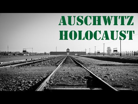 (105) Zeuge Hermann Langbein im Frankfurter Auschwitz-Prozess, 31.08.1964