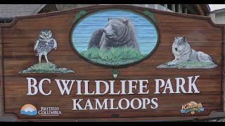 3 Best Places To See in Kamloops, BC - Expert Recommendations
