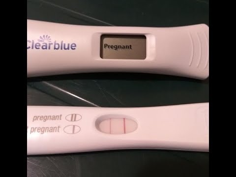 TTC Storytime | 1/4/2018