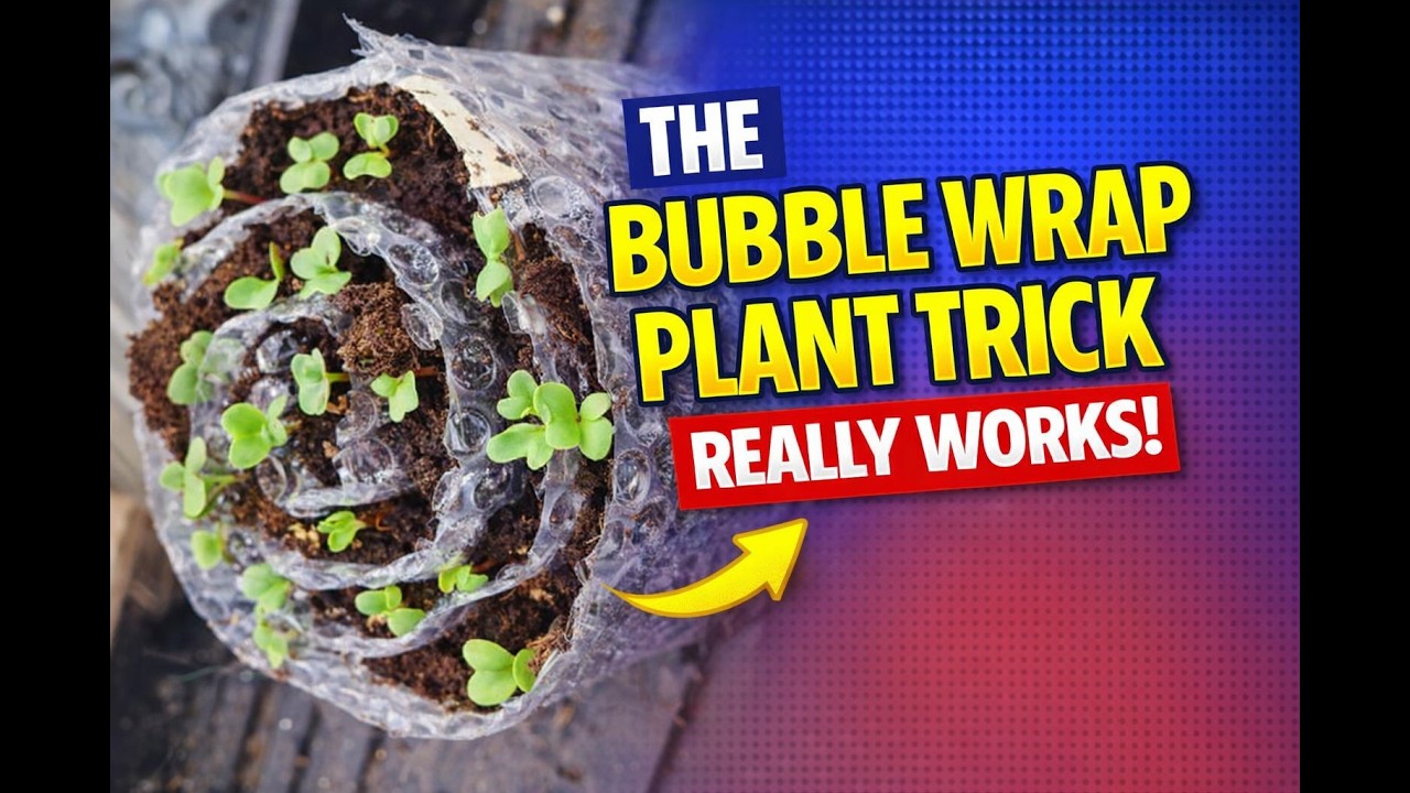 The Bubble Wrap Trick Really Works!