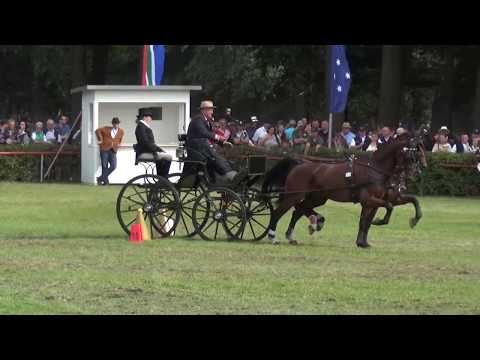 József DIBÁK (ITA) FEI CH-M-AH2, Drebkau (Germany), cones, 15.09.2019