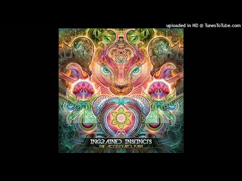 Ingrained Instincts & Distant Touch - Serious Fungi