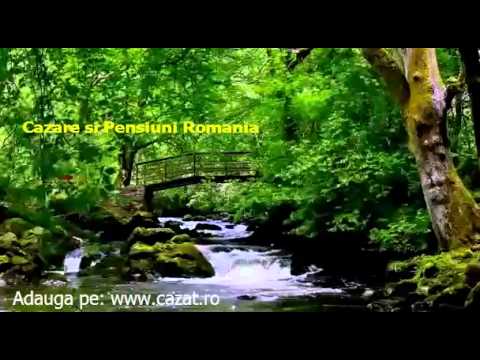 Cazare Cenei, Timis - Cazat.ro