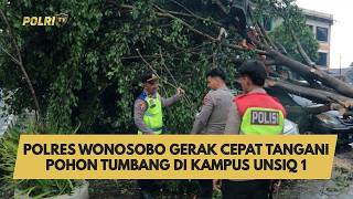 Download lagu WONOSOBO POLICE ACT QUICKLY TO RESPOND TO A FALLEN TREE ON THE UNSIQ 1 CAMPUS mp3