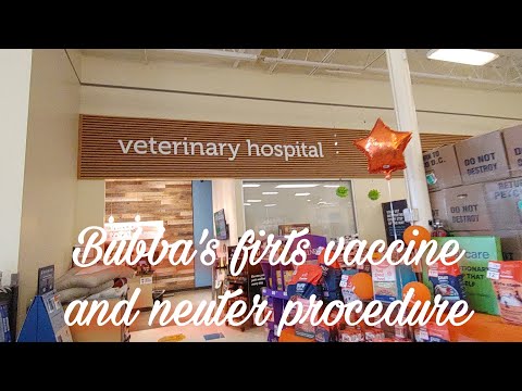 Petcoclinic Com