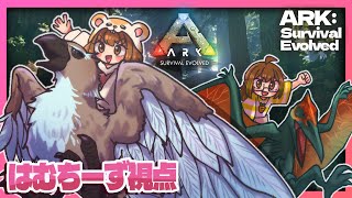 今日は絶対に！！黒真珠集めを頑張らないと～✨テイムはするかもだけど＃きゃろはむコラボ【ARK: Survival Evolved】＃ASE