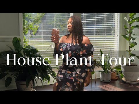 House Plant Tour |Advice Is Welcome | New plant Mom | #House Plants | Locs & Plants | #HousePlants