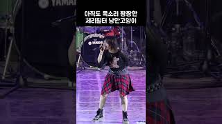 아직도 목소리 짱짱한 체리필터 (낭만고양이) | Cherry Filter