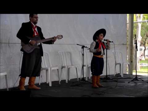 Na Voz De Um Pássaro Que Cantou - Luidhi Moro…