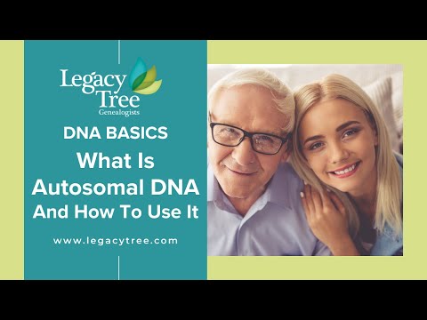 What Is Autosomal DNA and How To Use It