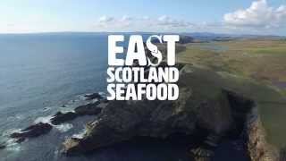 East Scotland Seafood // Shetland Islands