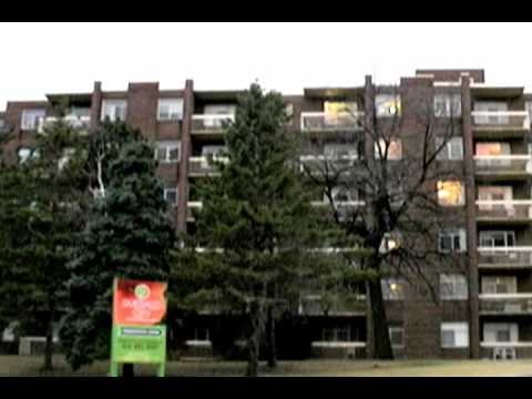 Pow Pow 20 B-LO feat. Porsche G and Alias Donmillion