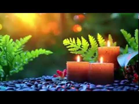 Welcome to the "Sonic's Speedy Tales" channel: