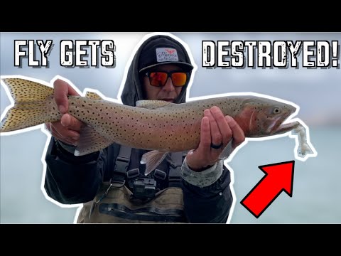 They DESTROYED My Fly! | Using a Fly on Spinning Gear | Pyramid Lake Part 2