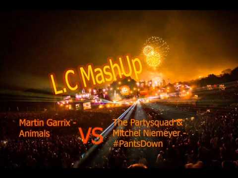 Martin Garrix   Animals VS The Partysquad & Mitchel Niemeyer   #PantsDown  (L.C MashUp)