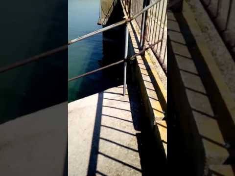 Sărituri la borti la Berești