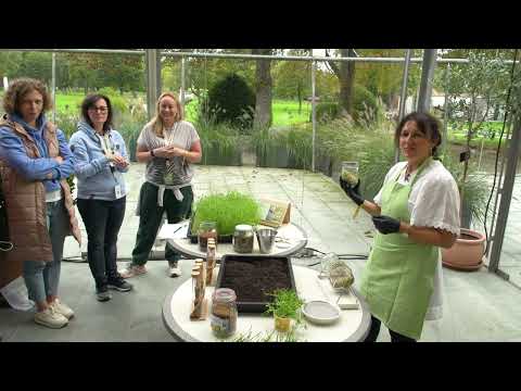 Grow your own sprouts: It's so easy! - Superfood for your salad & your health