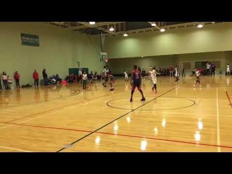 Reach Dream Team defeats All IN ONE DETROIT, 66-30 - Boys Spartan Classic