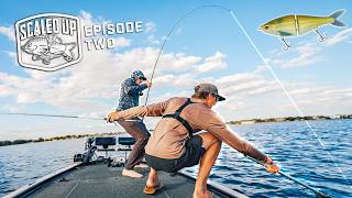 Fishing BIG Swimbaits For AGGRESSIVE Spring Bass! ("Scaled Up" Season 2 Episode 2)