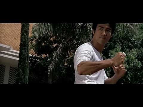 bruce lee & the big boss