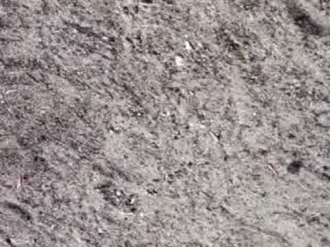 download lagu mp3 mp4 Temp 001, download lagu Temp 001 gratis, unduh video klip Temp 001