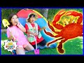 Ryan Hunt For Treasure In The Lost City With A Magical Crab