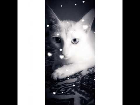 please subscribe our channle