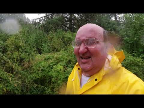 MongoTV_3260 - English Vlog_0151 - SUMMER IN DENMARK