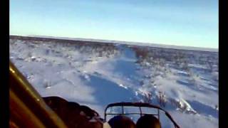 Поездка на вездеходе в тундру Поездка на вездеходе в тундру