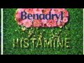 Benadryl Commercial 2001