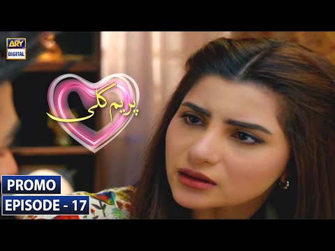 Prem Gali Episode 17 - Promo - ARY Digital Drama