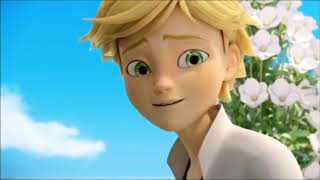 Preuves d&#39;Adrien est amoureux de Marinette