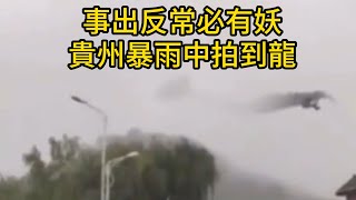 [問卦] 誰又在亂發毒誓快點出來承認!