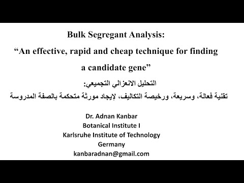 Bulk Segregant Analysis: “An effective, rapid and cheap technique for finding a candidate gene''