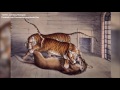 National Geographic Documentary 2017 Tower Of London Facts History BBC Travel Documentary