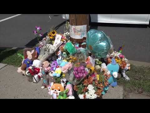 Children Pedestrian Fatalities