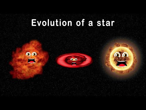 What Is Stellar Evolution? - Facts About The Lifecycles of Stars
