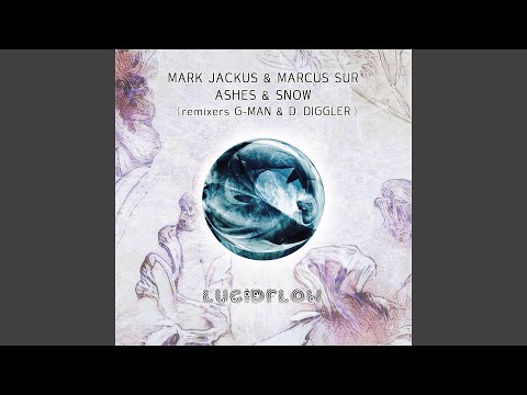 Ashes & Snow (D. Diggler Remix)
