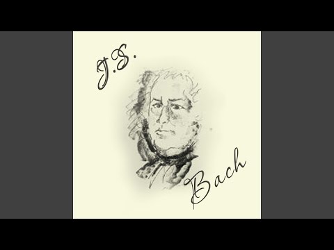 Violin Sonata in E Minor, BWV 1023: I. Prelude. Adagio ma non tanto