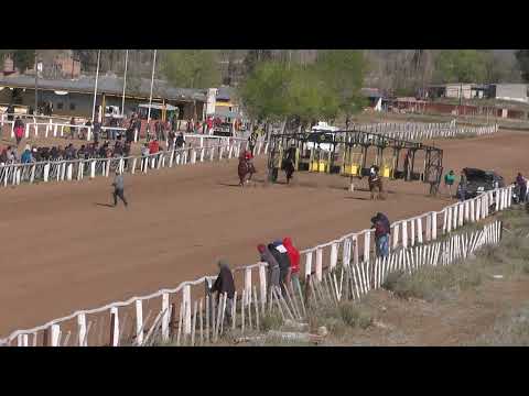 CRIOLLITA Club Hipico "Viento Sur"   Cutral Co 25-09-2022