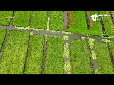 Veenweiden Krimpenerwaard: aanpak oeverafkalving
