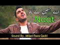 Ya Nabi Nazre Karam Farmana Ey Hasnain Ke Nana Milad Raza Qadri Official Video Naat Song